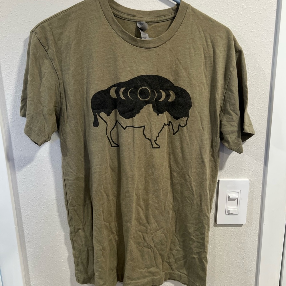 Star Plunge, Thermopolis, Wyoming - Buffalo Graphic Tee